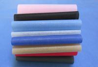 东源涤纶（PET）无纺布是什么